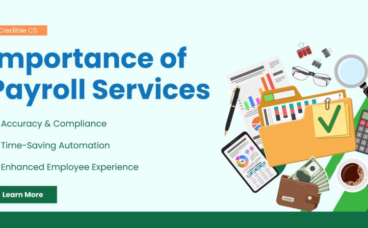  The Importance of Payroll Services for Your Business